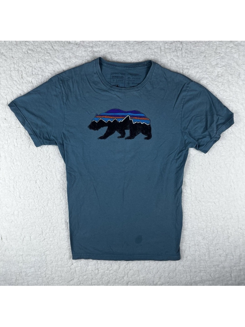 Patagonia Mens Slim Fit Small Teal Green Graphic Tshirt Bear Logo Hiking Outdoor